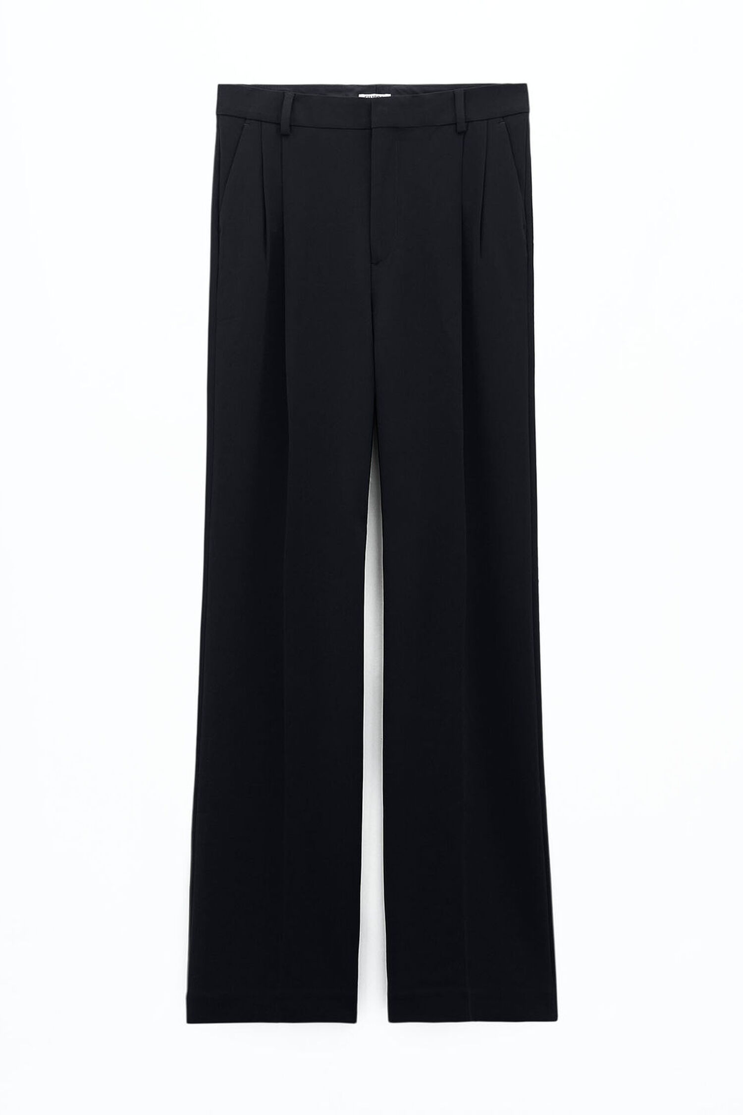 Pleated Trousers
