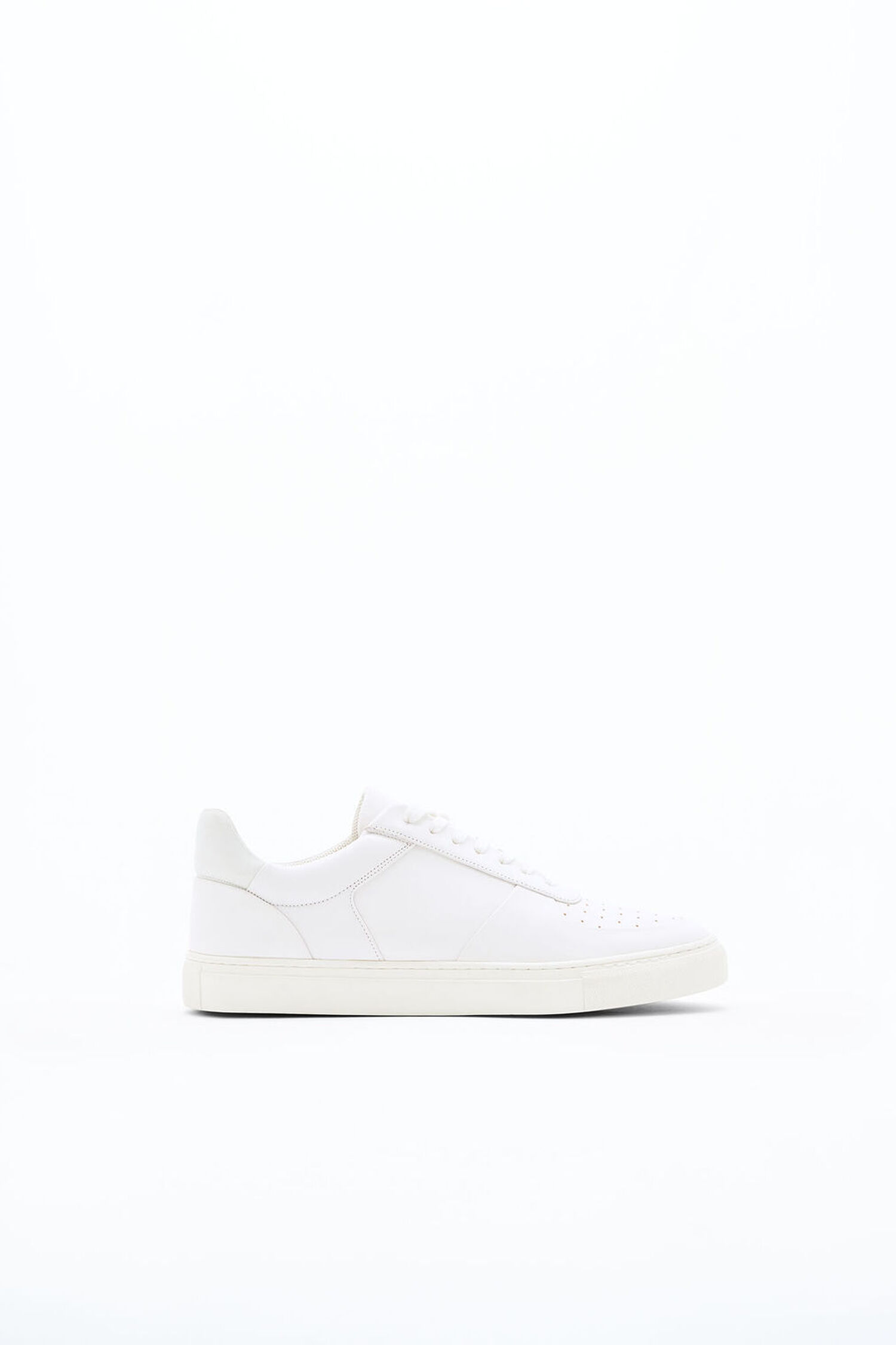 Robert Sneakers