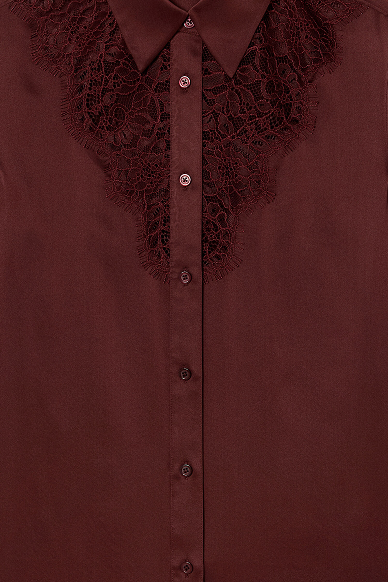 V-Detail Lace Shirt