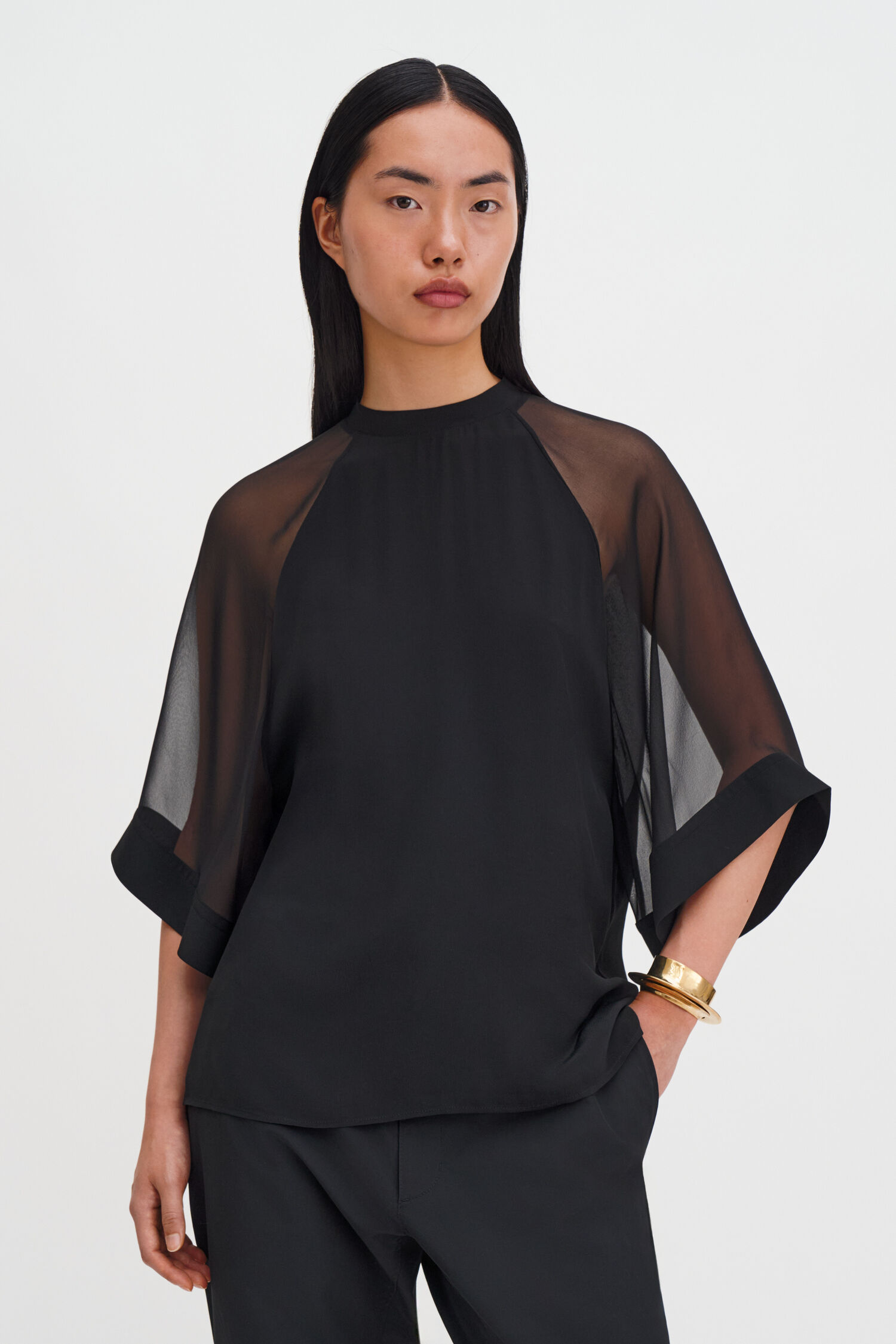 Sheer Raglan Blouse